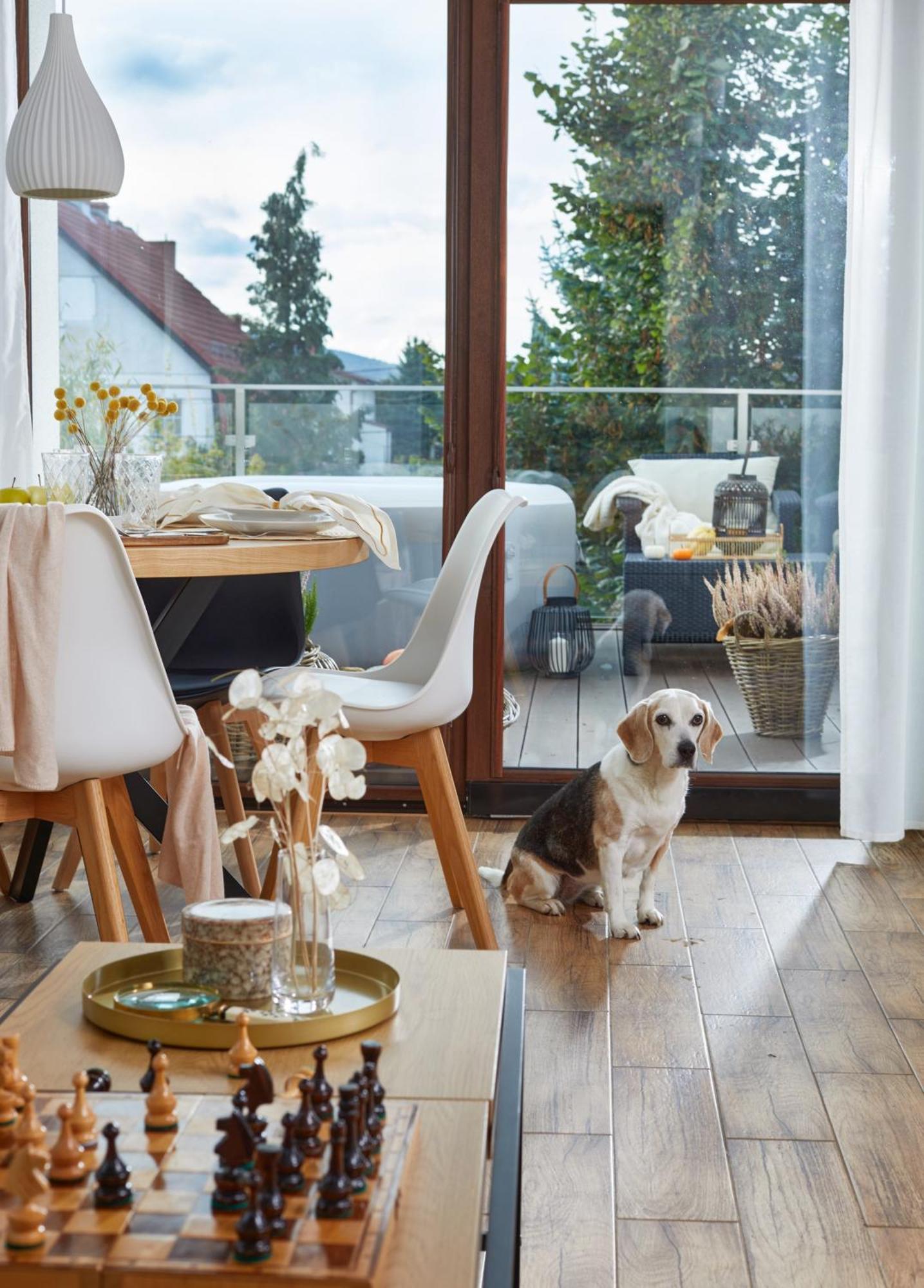 Ferienwohnung Oh Deer! Jelenia Góra Exterior foto